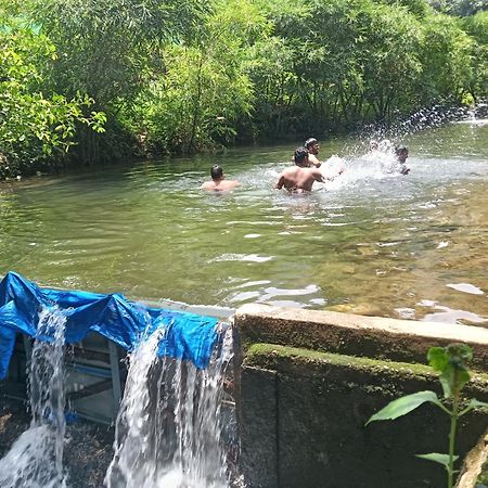 Tharayil Farm Stay Vagamon Ngoại thất bức ảnh