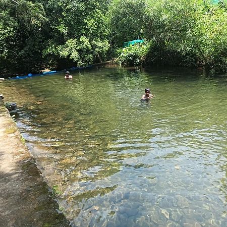 Tharayil Farm Stay Vagamon Ngoại thất bức ảnh