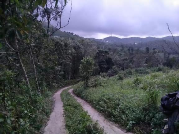Tharayil Farm Stay Vagamon Ngoại thất bức ảnh