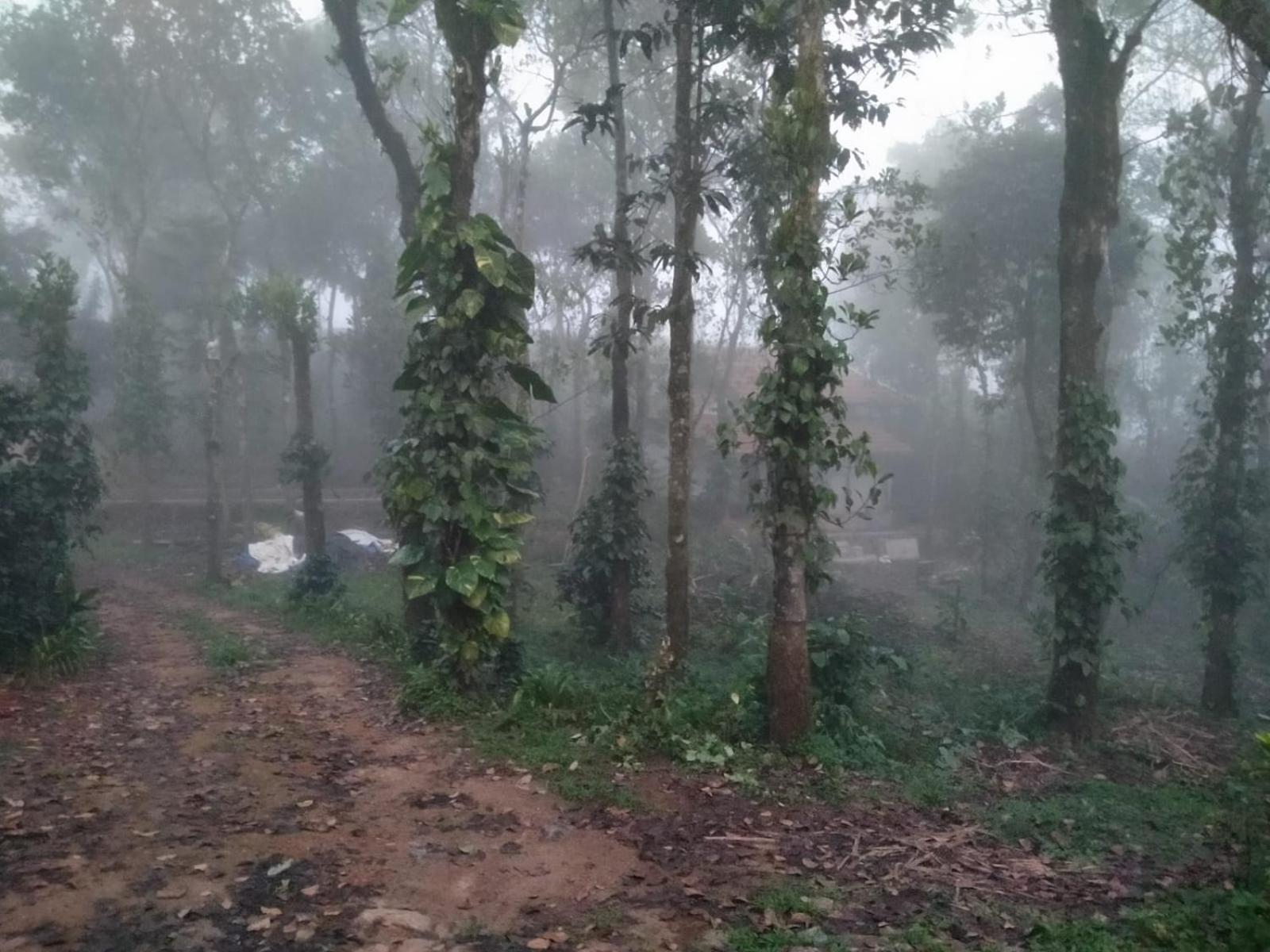 Tharayil Farm Stay Vagamon Ngoại thất bức ảnh