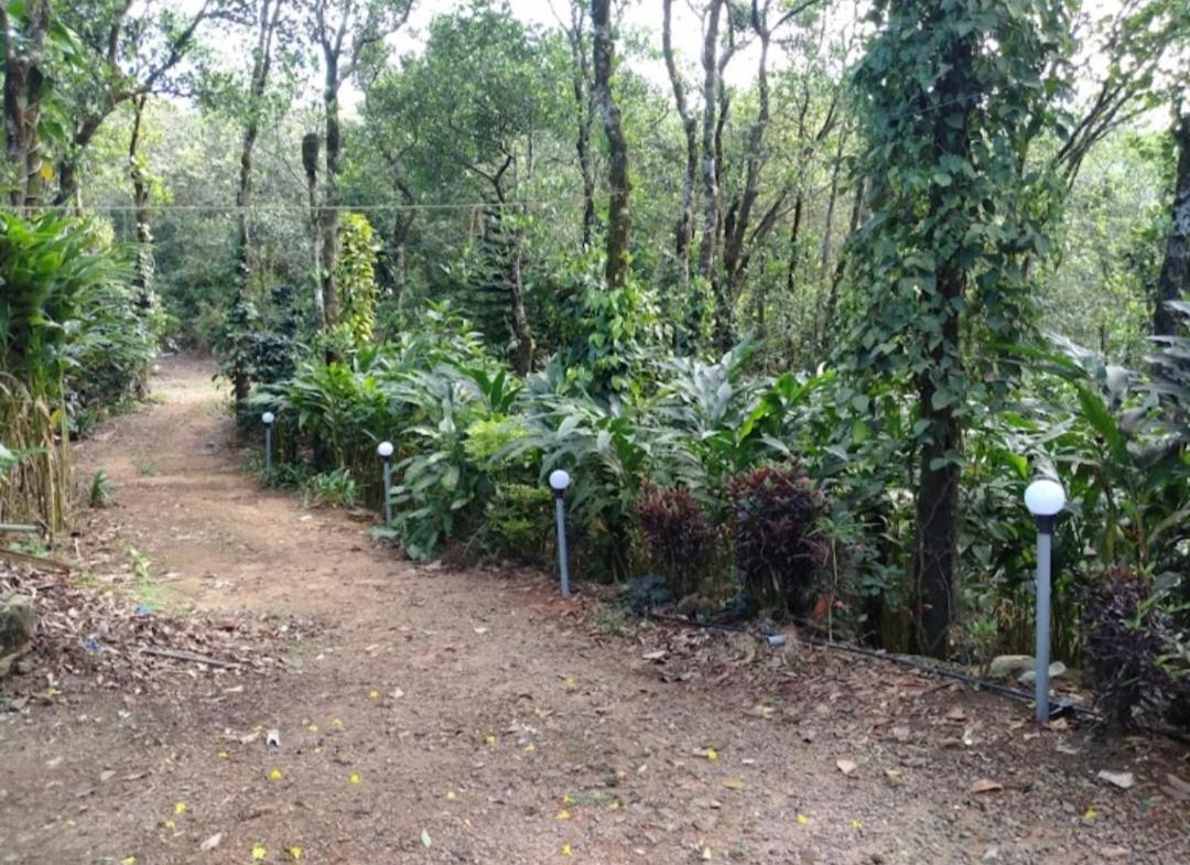 Tharayil Farm Stay Vagamon Ngoại thất bức ảnh