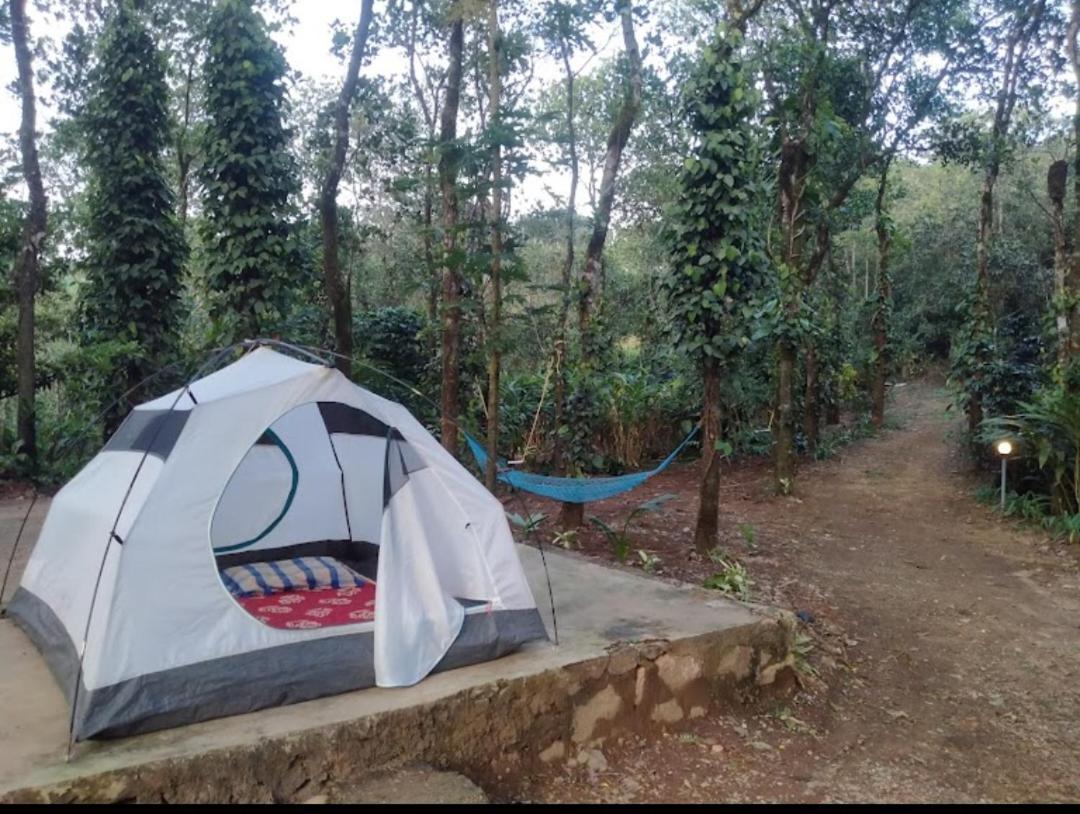 Tharayil Farm Stay Vagamon Ngoại thất bức ảnh