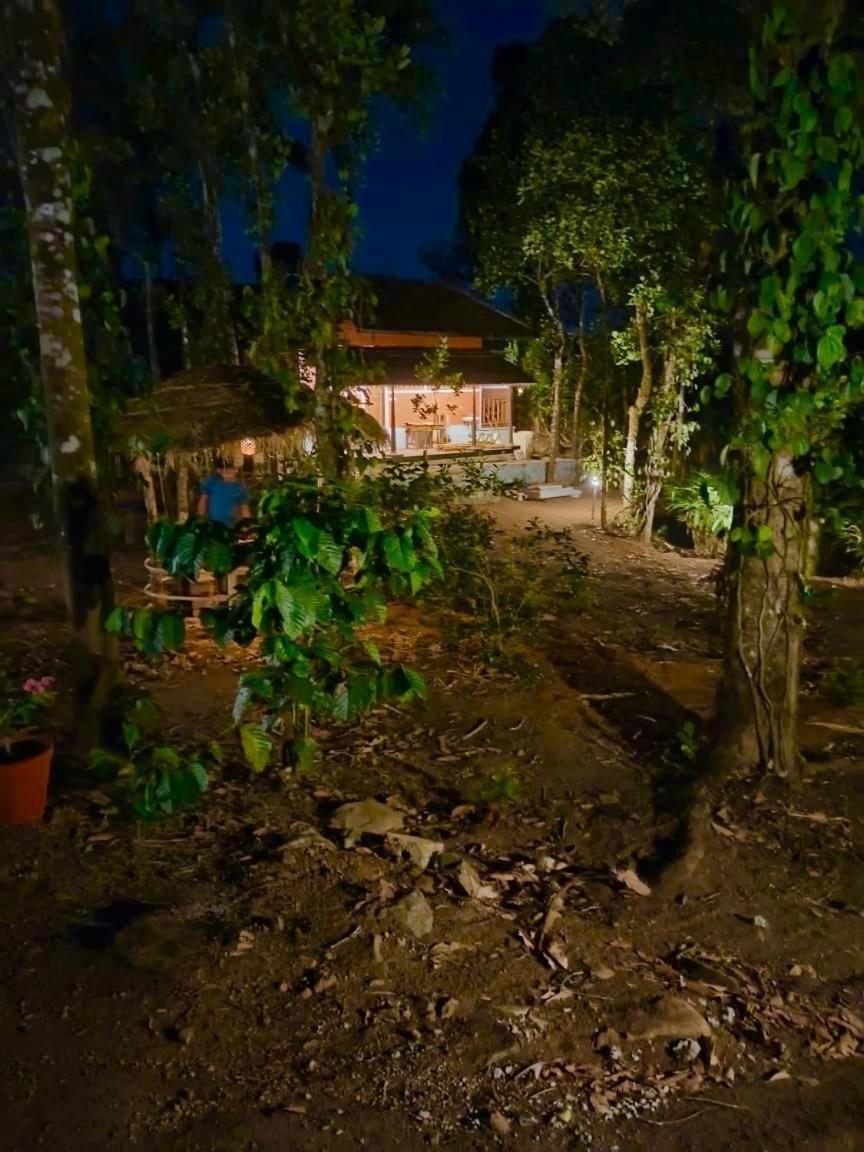 Tharayil Farm Stay Vagamon Ngoại thất bức ảnh