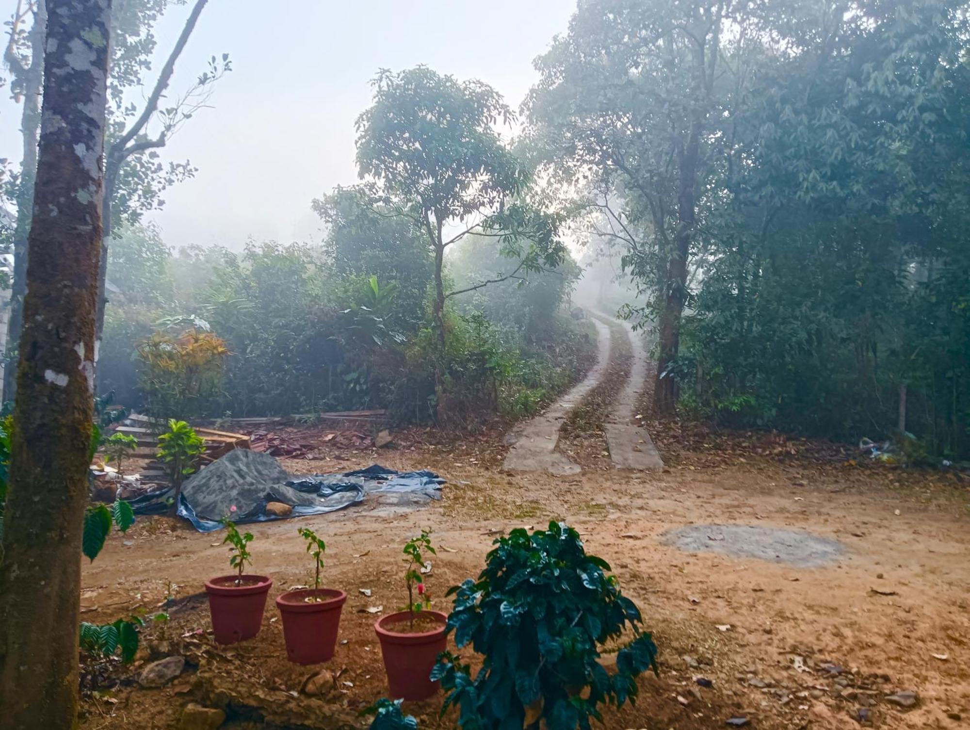 Tharayil Farm Stay Vagamon Ngoại thất bức ảnh