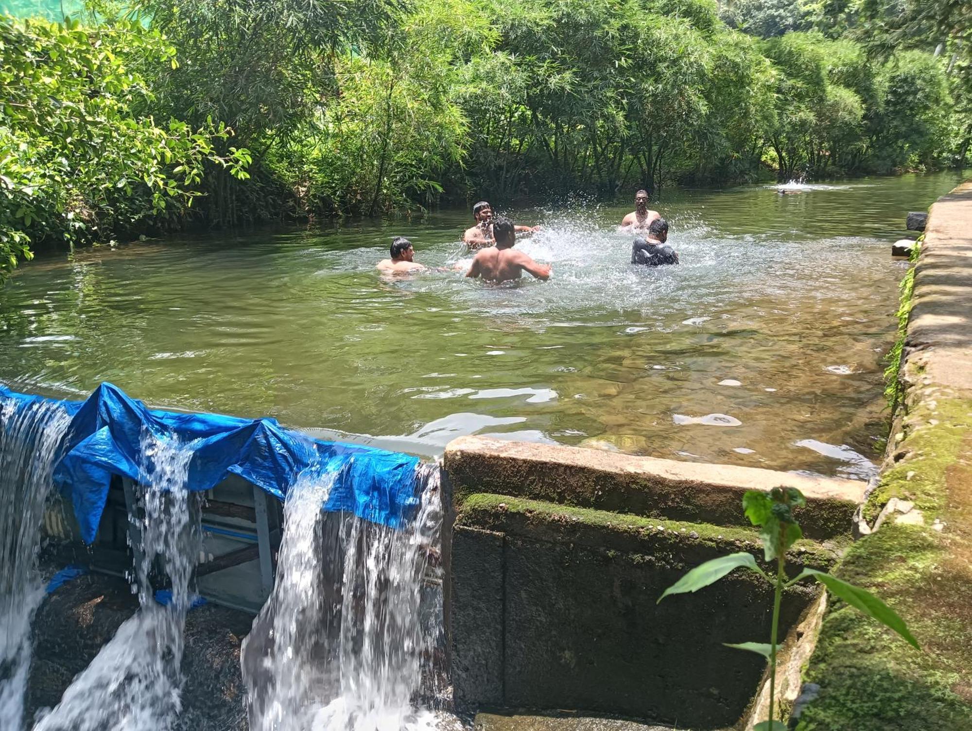 Tharayil Farm Stay Vagamon Ngoại thất bức ảnh